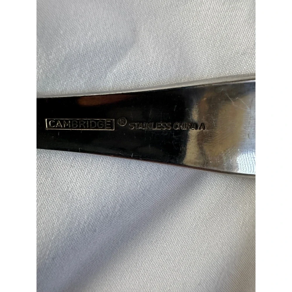 Cambridge Stainless China Soup‎ Spoon Silverware Flatware Tableware